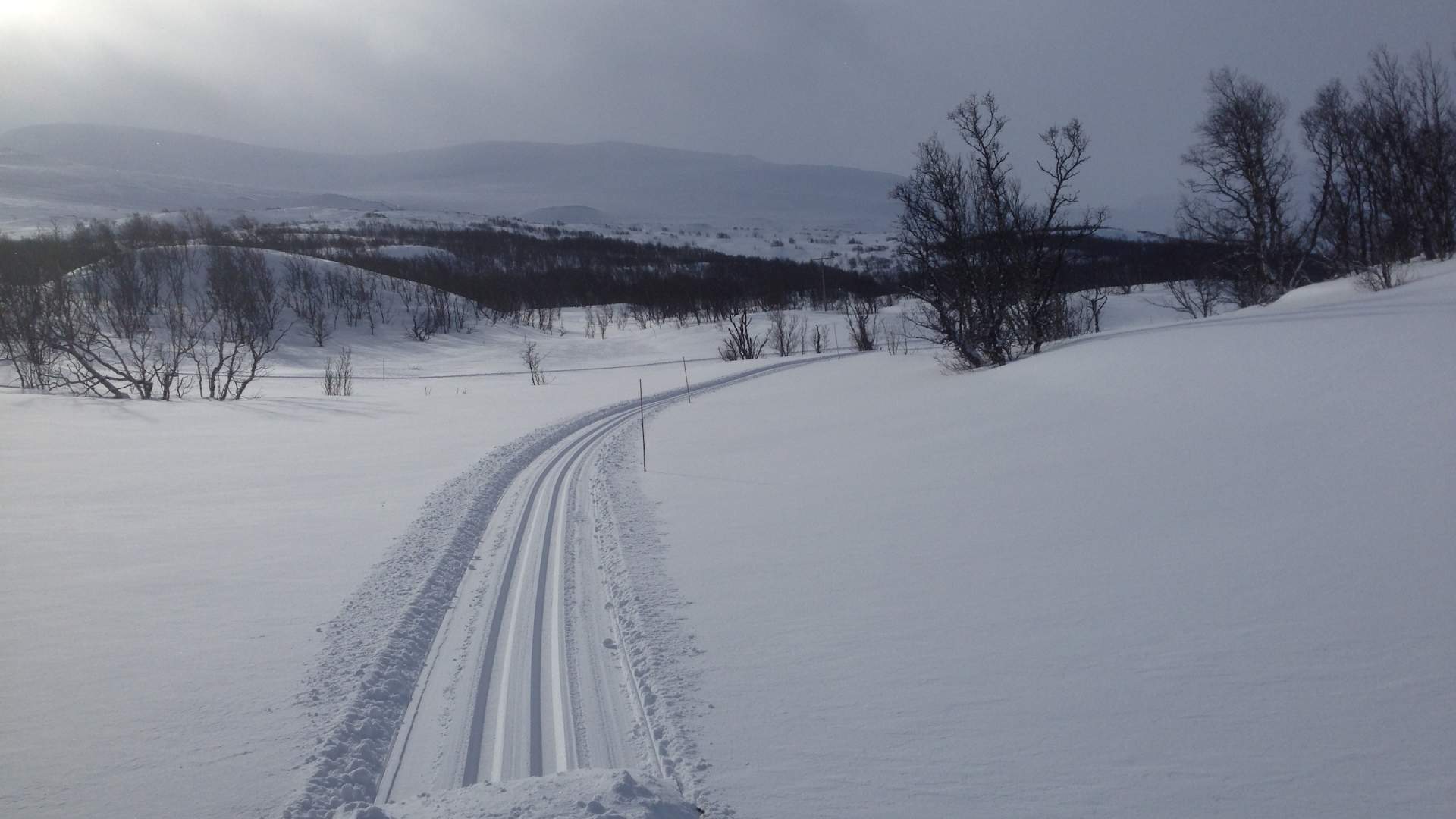 Bessheim_ Kristoffer Mæle Thuestad-2 (5)