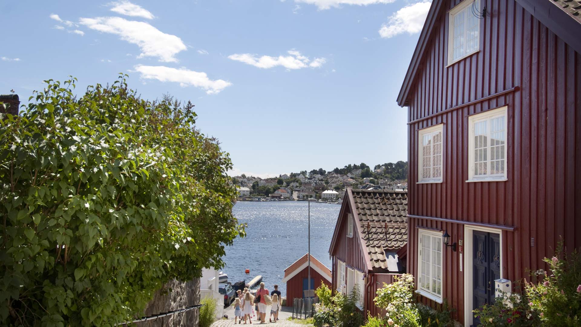 Bilde tatt fra toppen av Kampebakken på Øvre Tyholmen