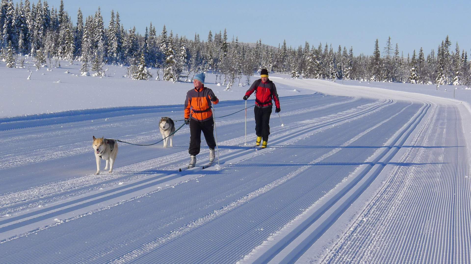 Lillehammer Birkebeinerløypa