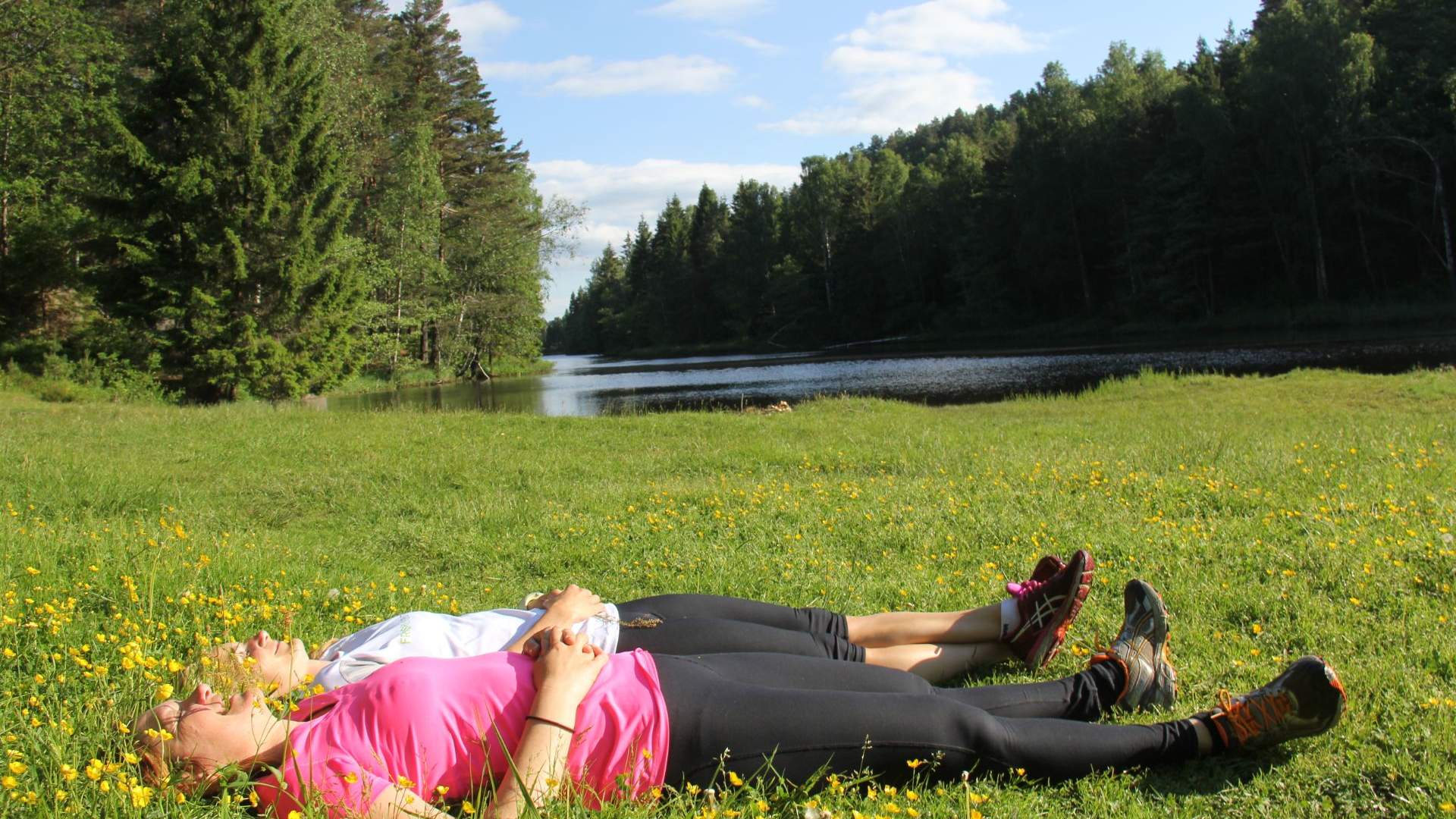 Birkenlund lysløype