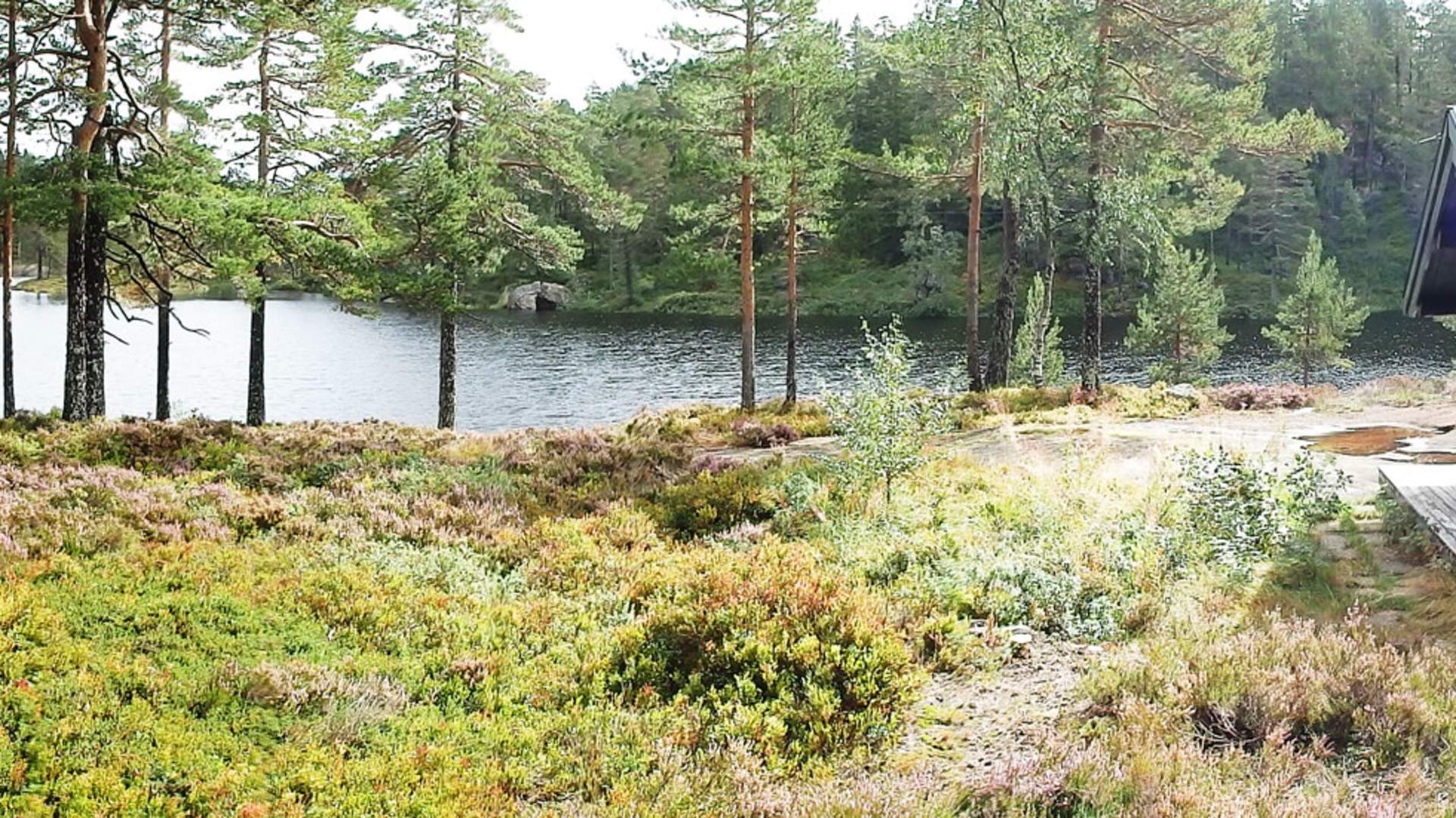 Bjørkebu-panorama_web