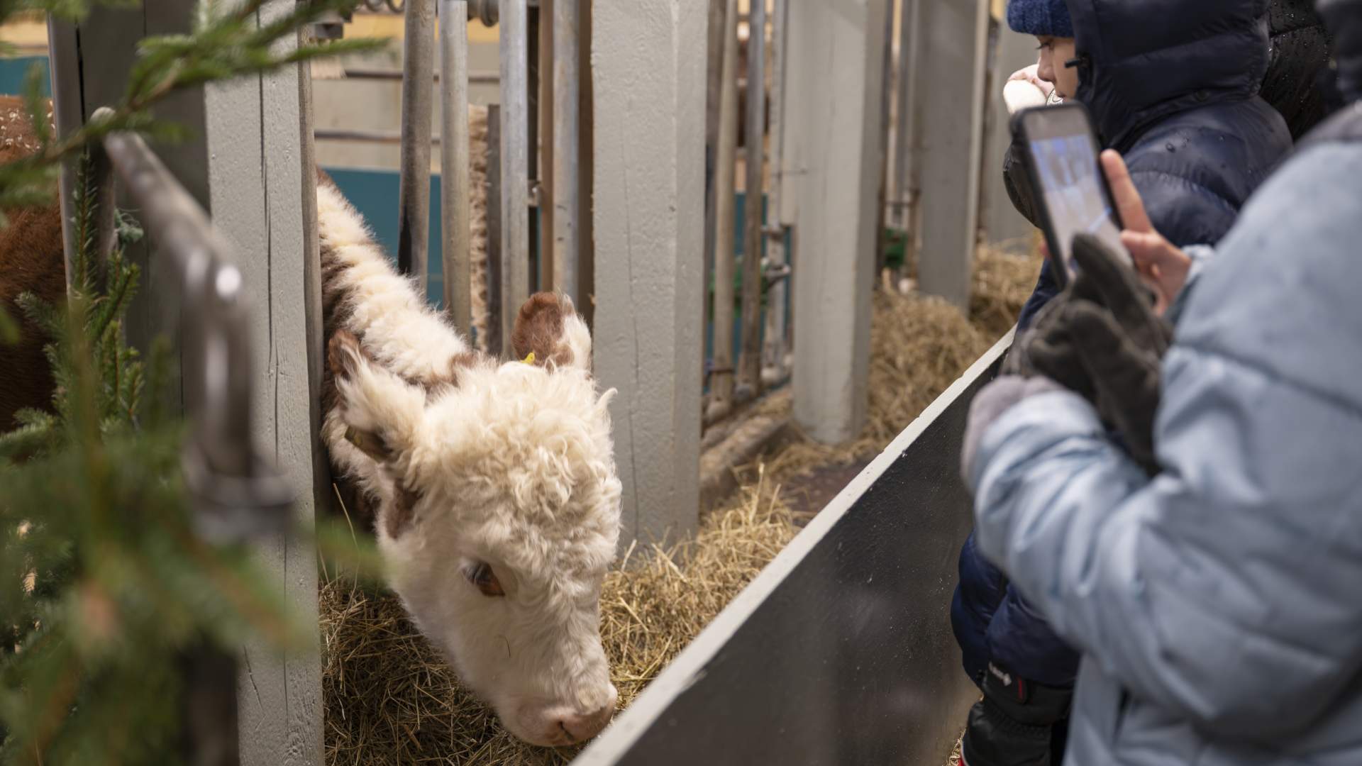 Jul på Bogstad Gård