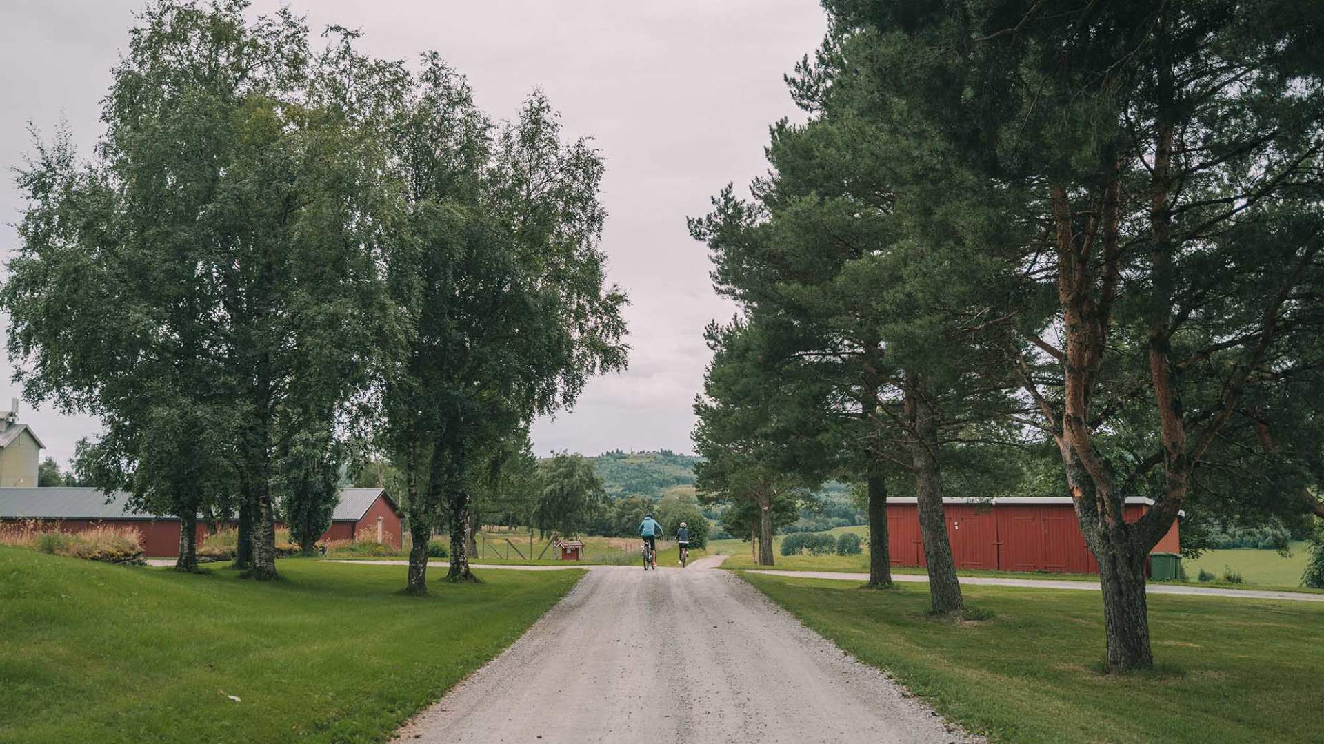 Borgenfjorden_Innherred_Sykkeltur_Inderøy_Gjørv_Gård_Hjort_@dinarindsem (12)