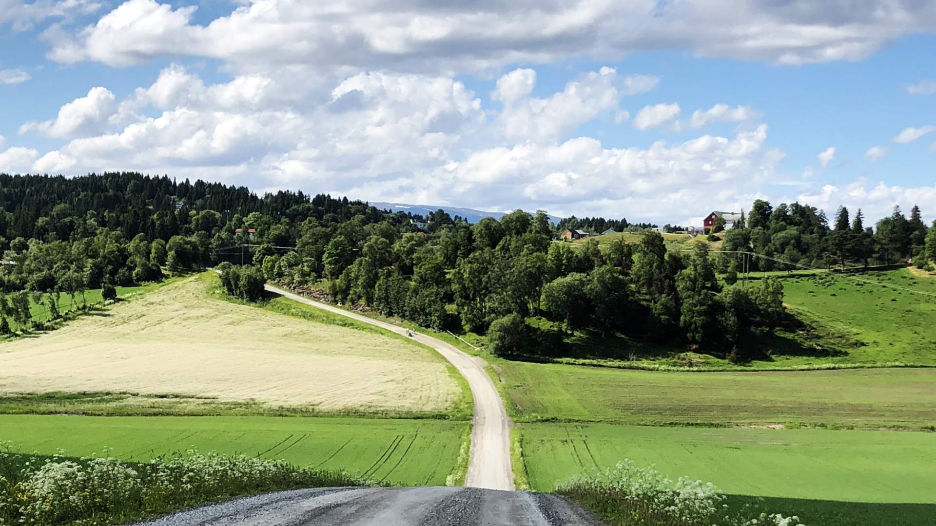 Borgenfjorden Rundt m Elsykkel Foto Visit Innherred jun 2018 (108) WEB