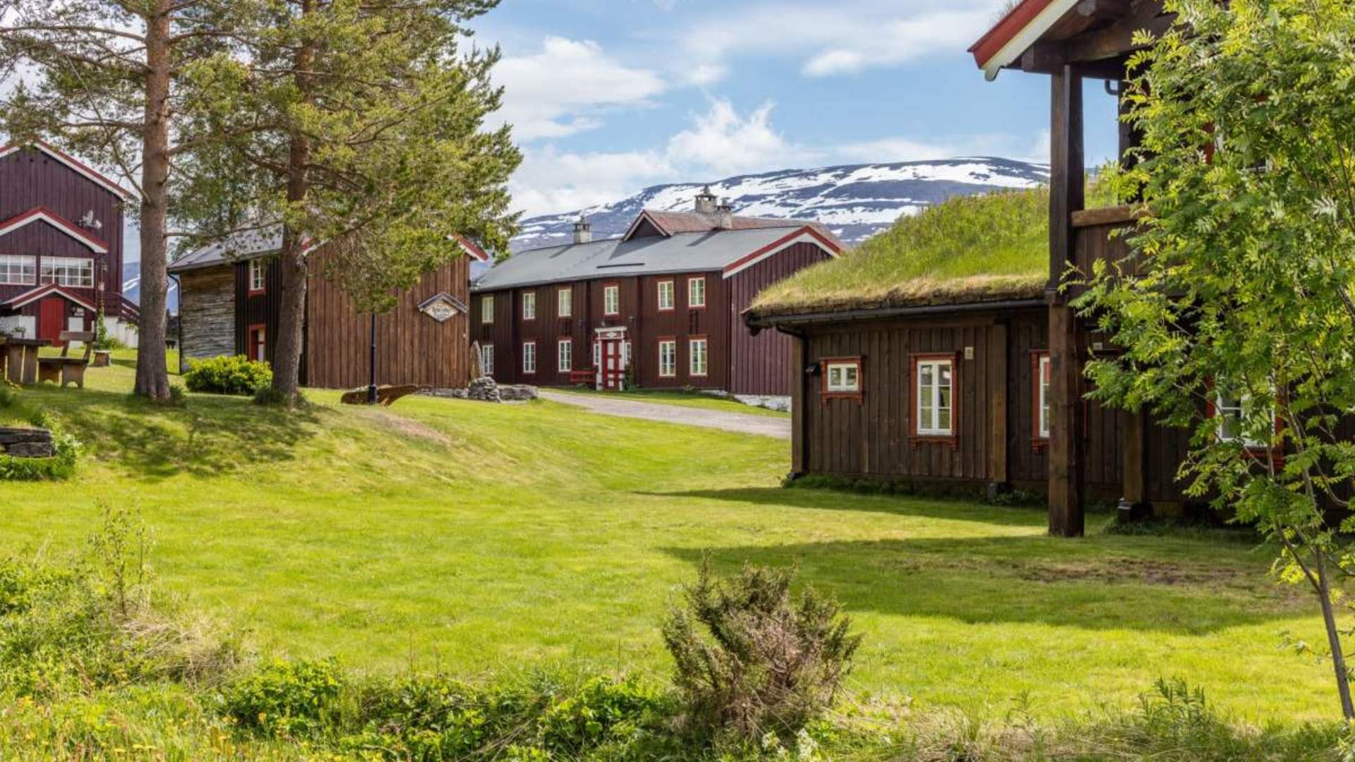 Bortistu