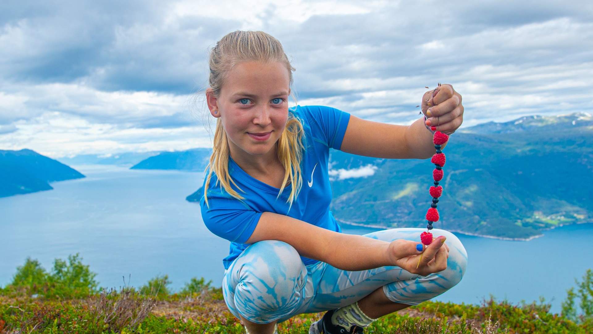 Norsk bringebærfestival, Vik