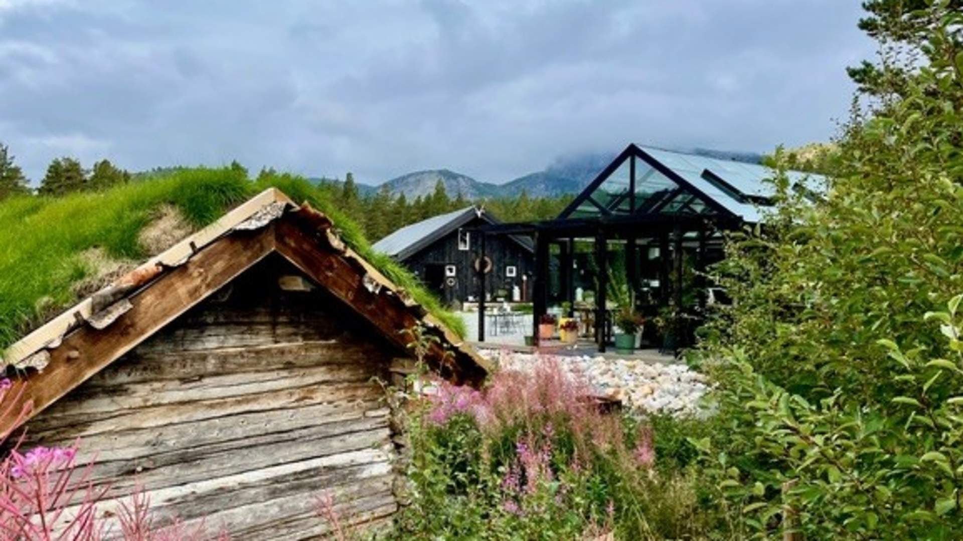 Brokkestøylen grønska