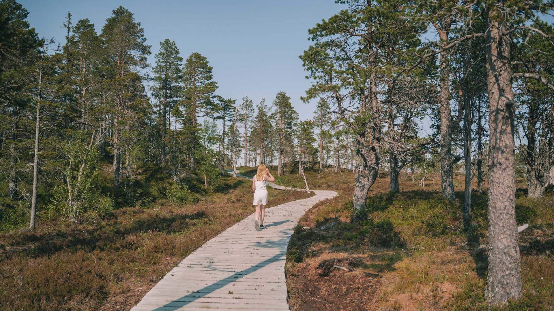 Bukkhaugen_Levanger_Liggende_dinarindsem (15)