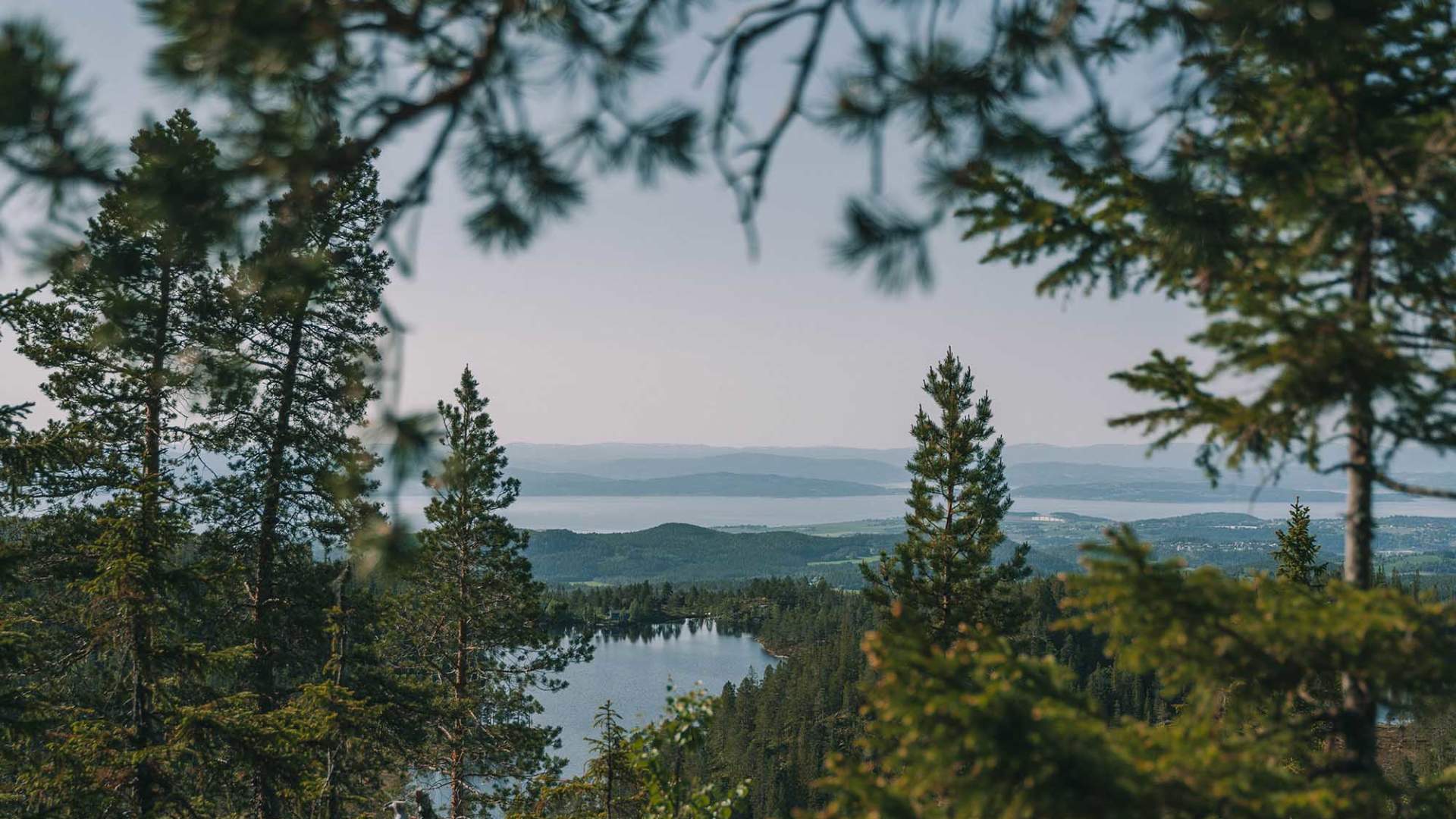 Bukkhaugen_Levanger_Liggende_dinarindsem (38)