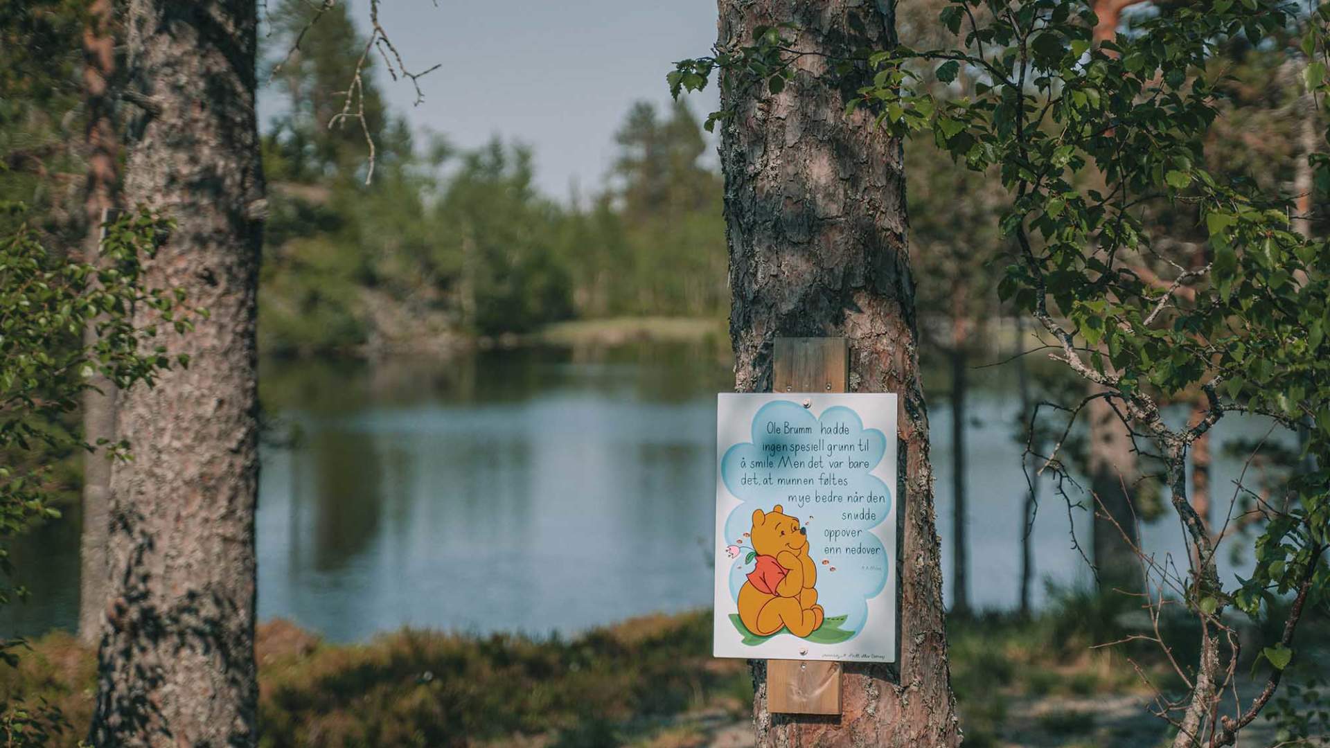 Bukkhaugen_Levanger_Liggende_dinarindsem (4)