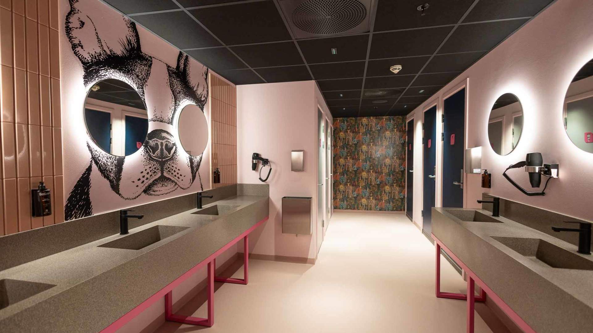 Bunks-at-Rode-2024-Shared-Ladiesroom