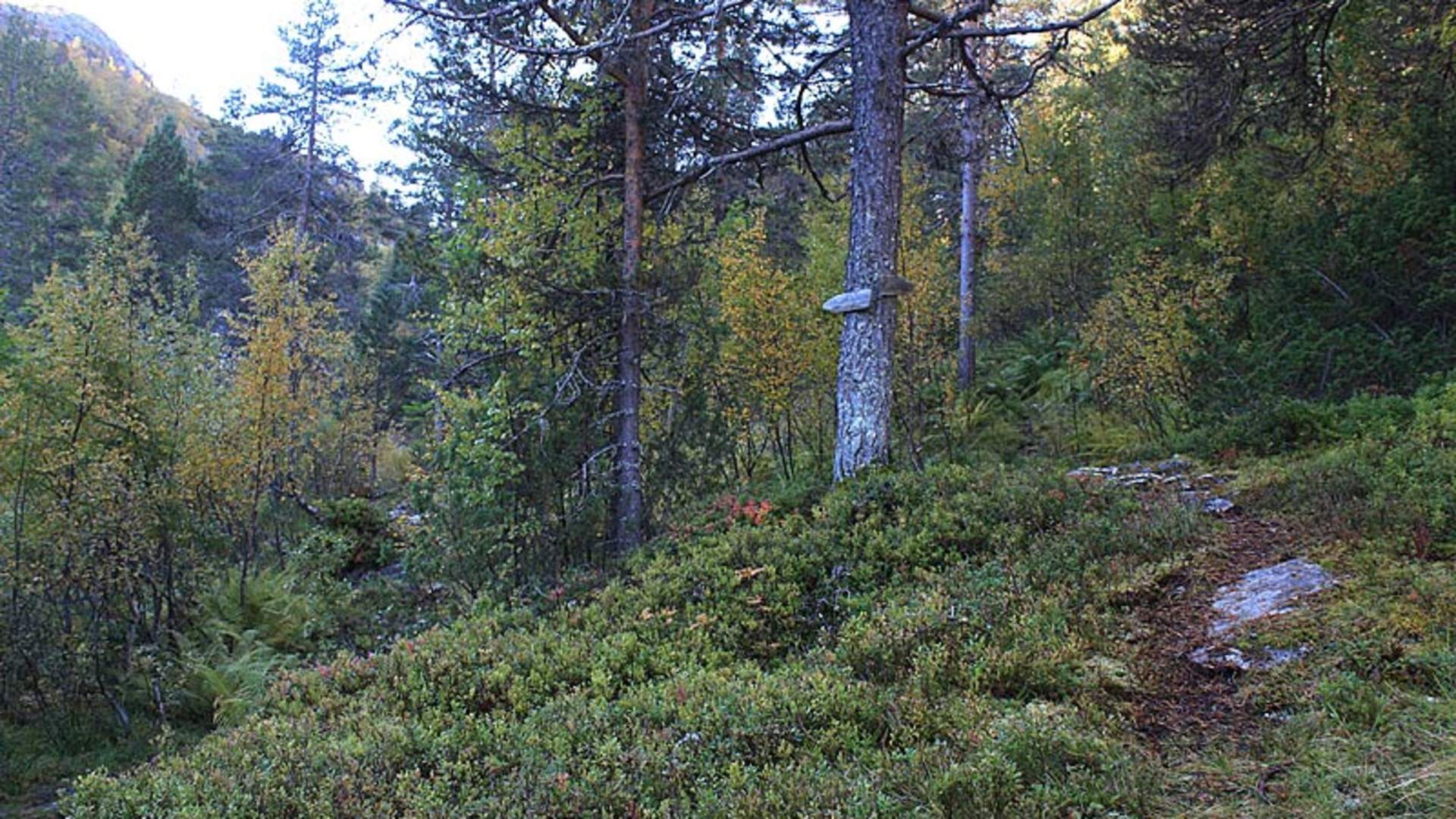Vassdalen, Jostedal
