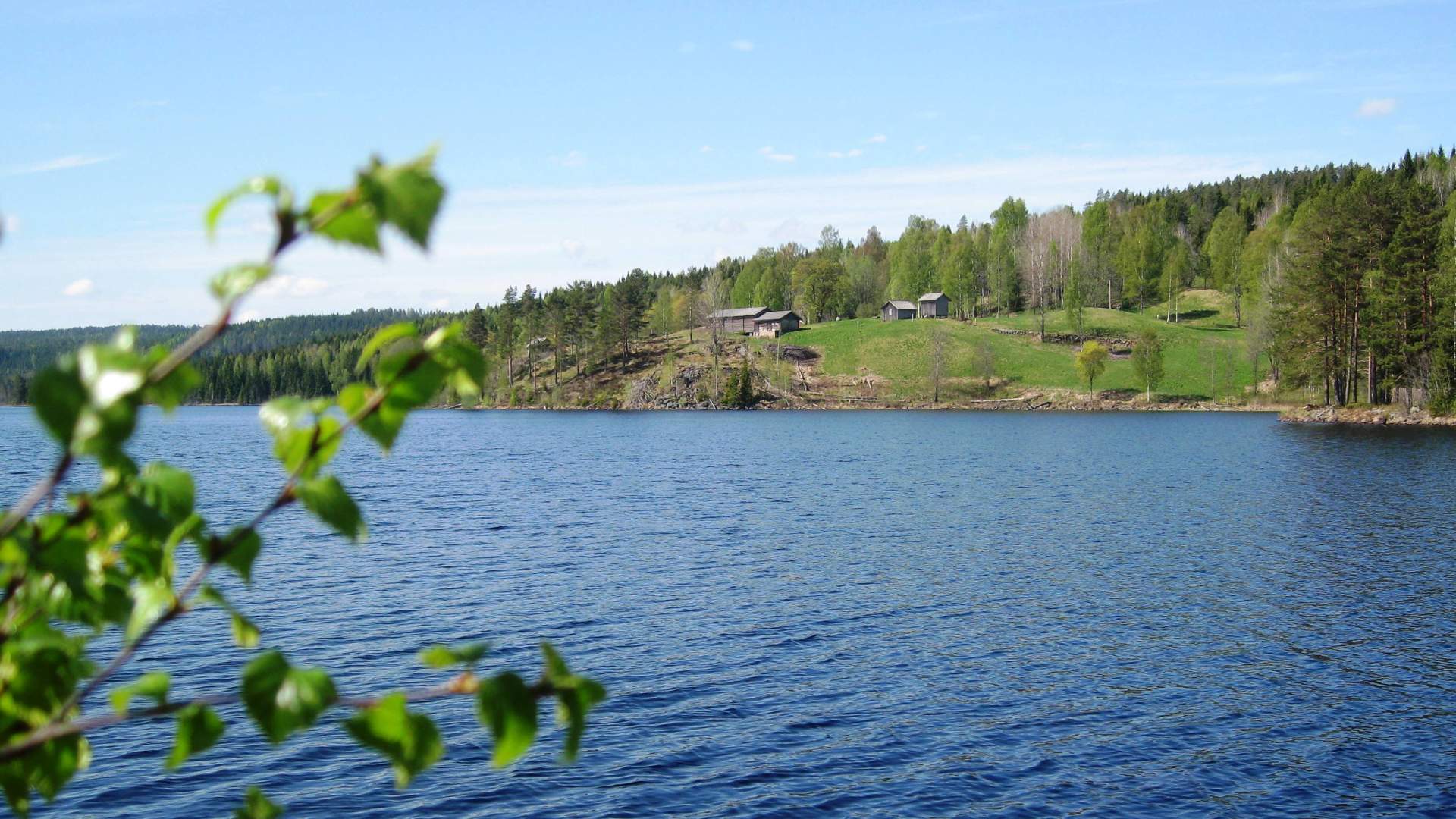 Oppistun Børli