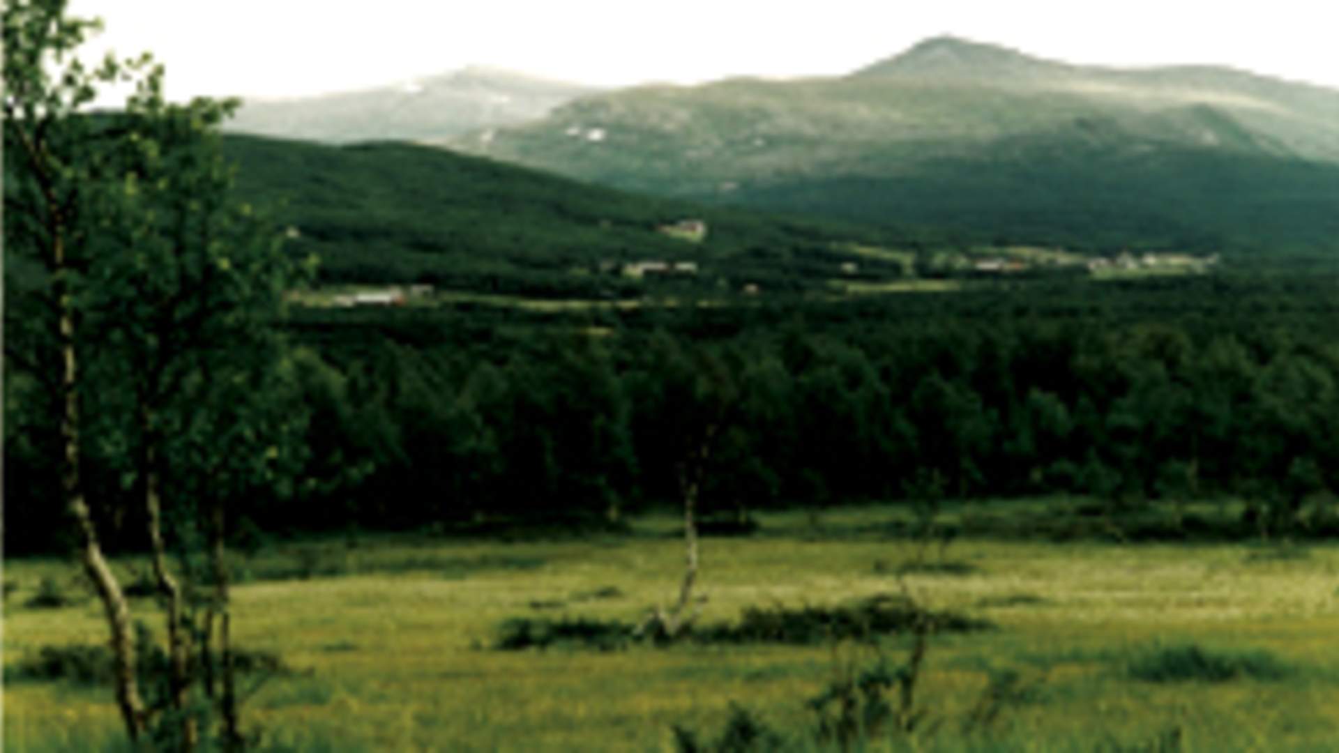Sølendet ved Brekken