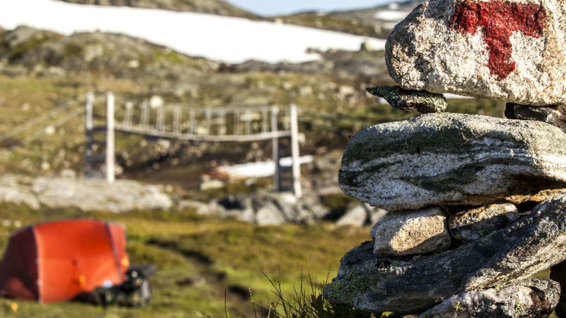 Hardangervidda sommer