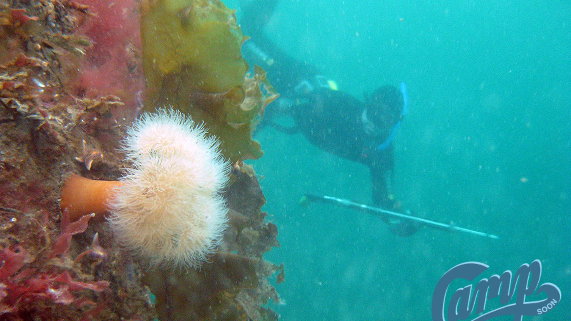 Selv under vann finner du CampSoon