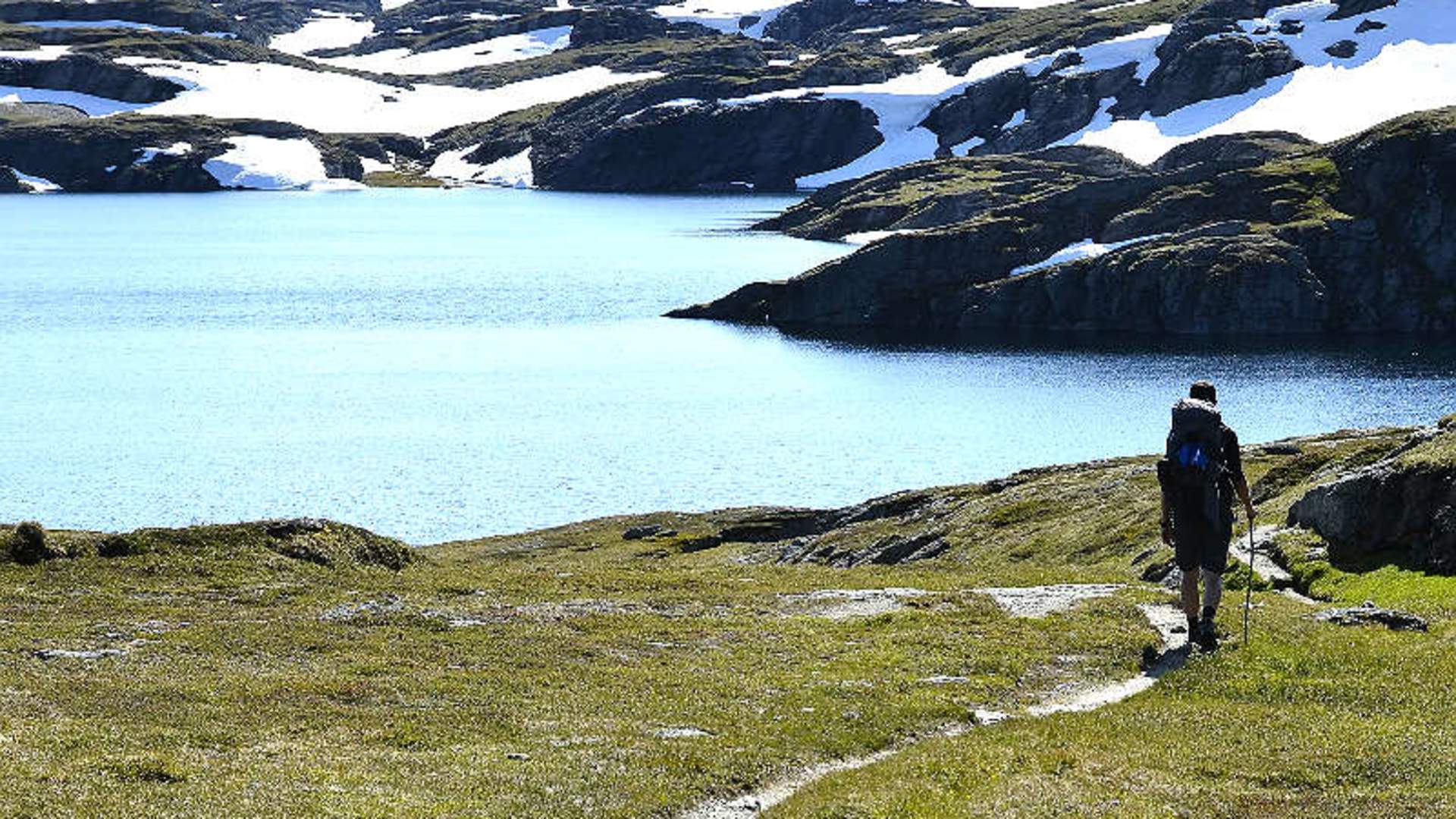 Hardangervidda sommer
