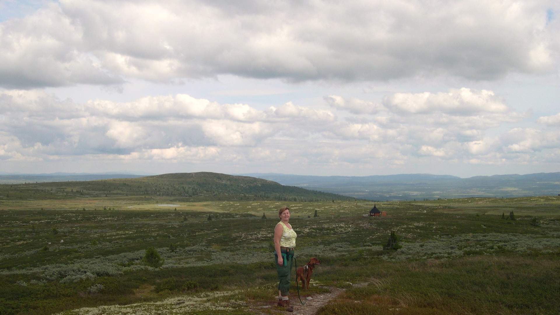 Veslefjell, Golsfjellet, Gol