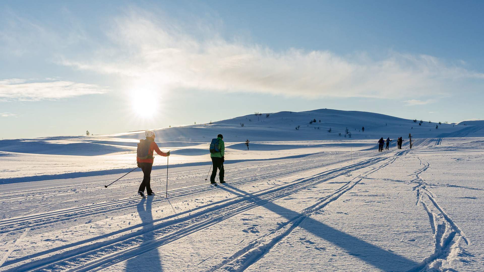Cross country skiers in winter sun l Venabu Fjellhotell