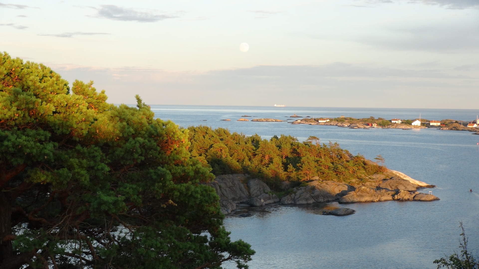 Fullmåne