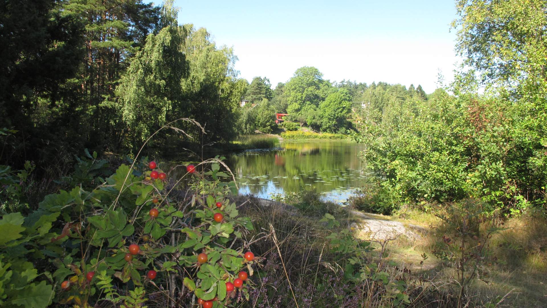 Pilegrimsleden Follo