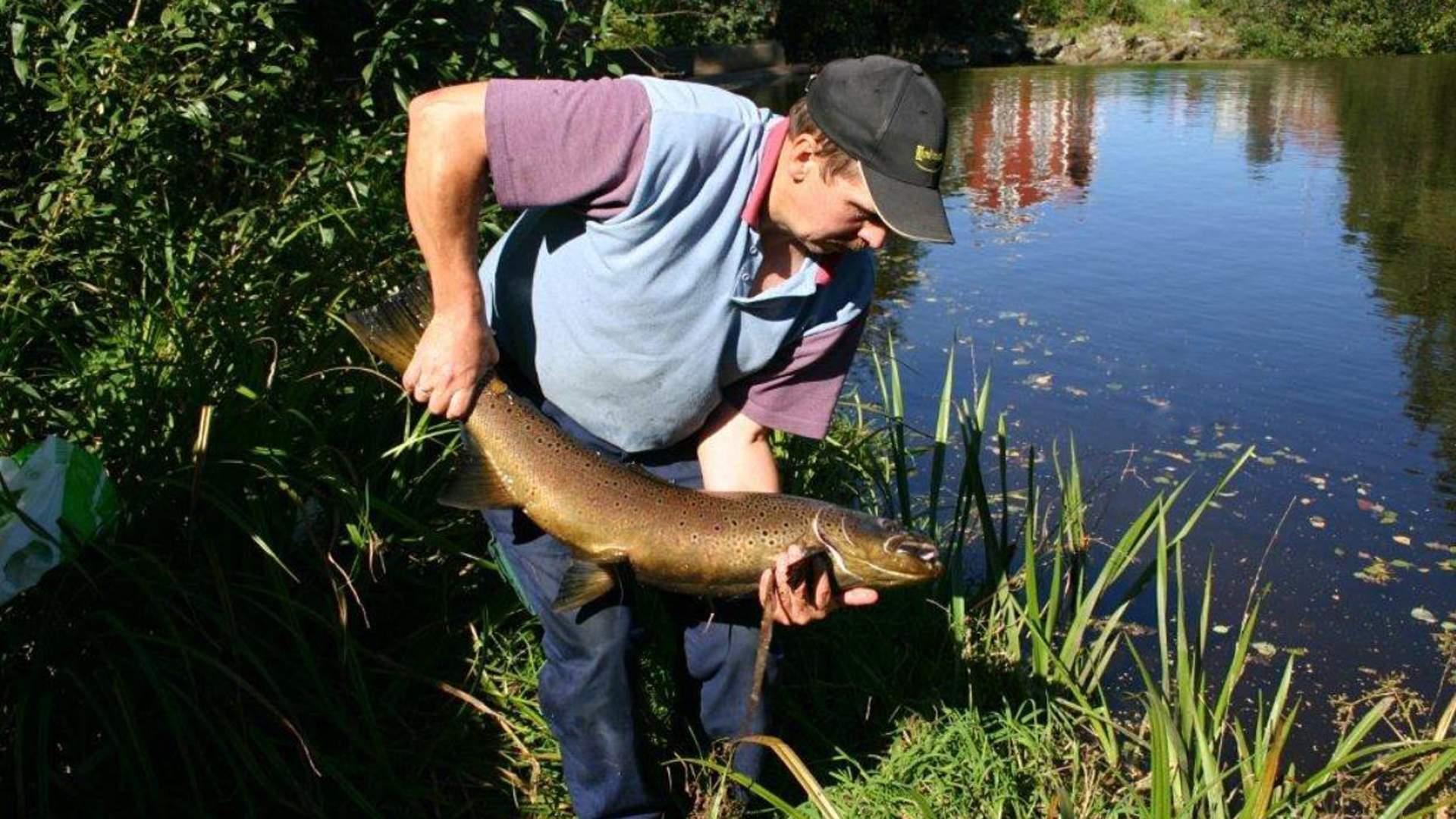 Storørret tatt i Lenaelva