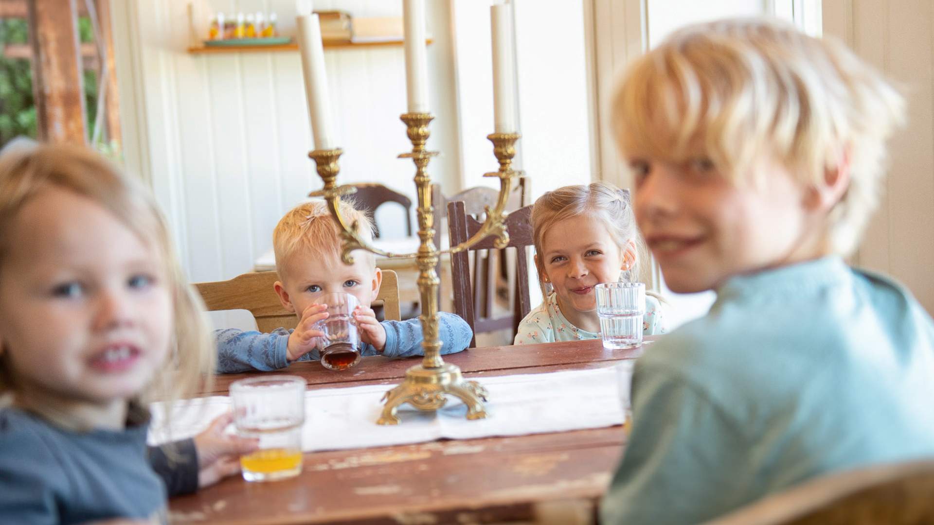 DALPRO-Barn-Hjort-Sommer-30