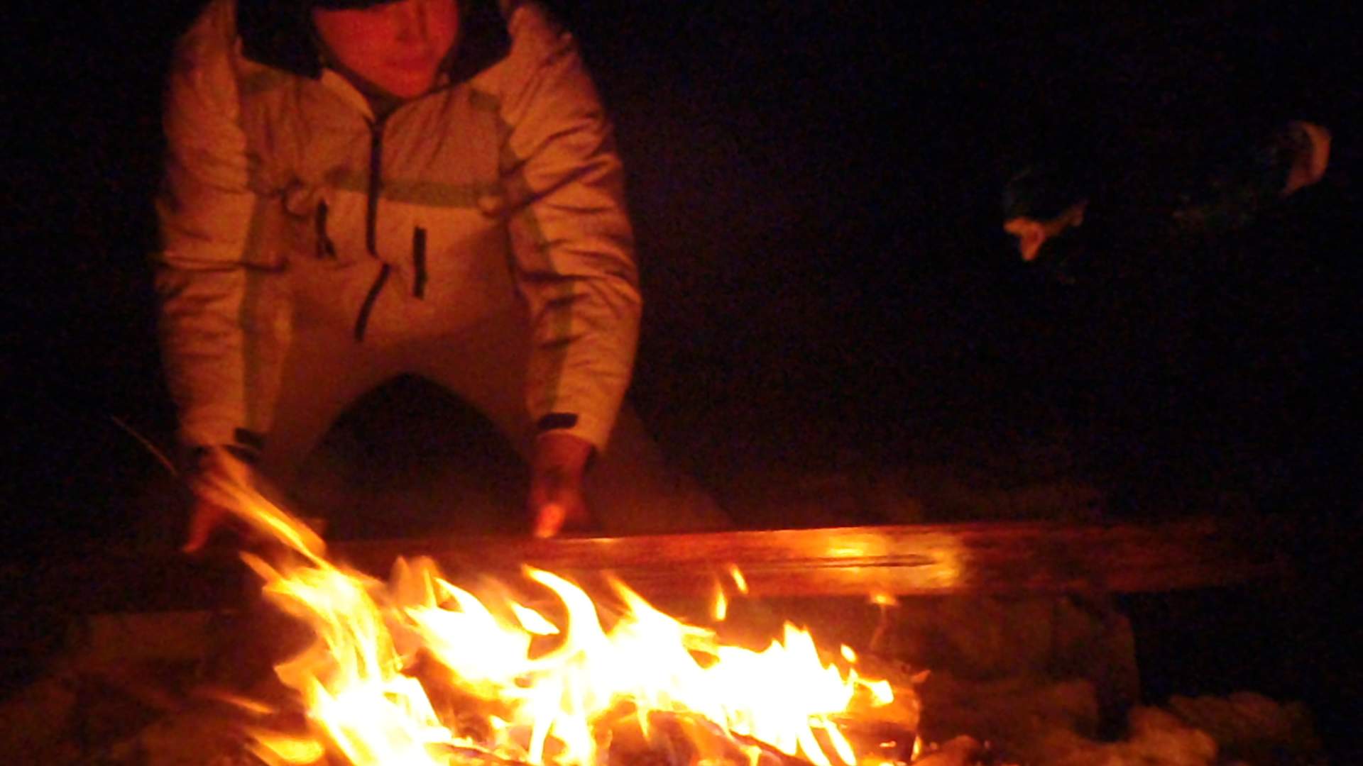 Wilderness Life - vno