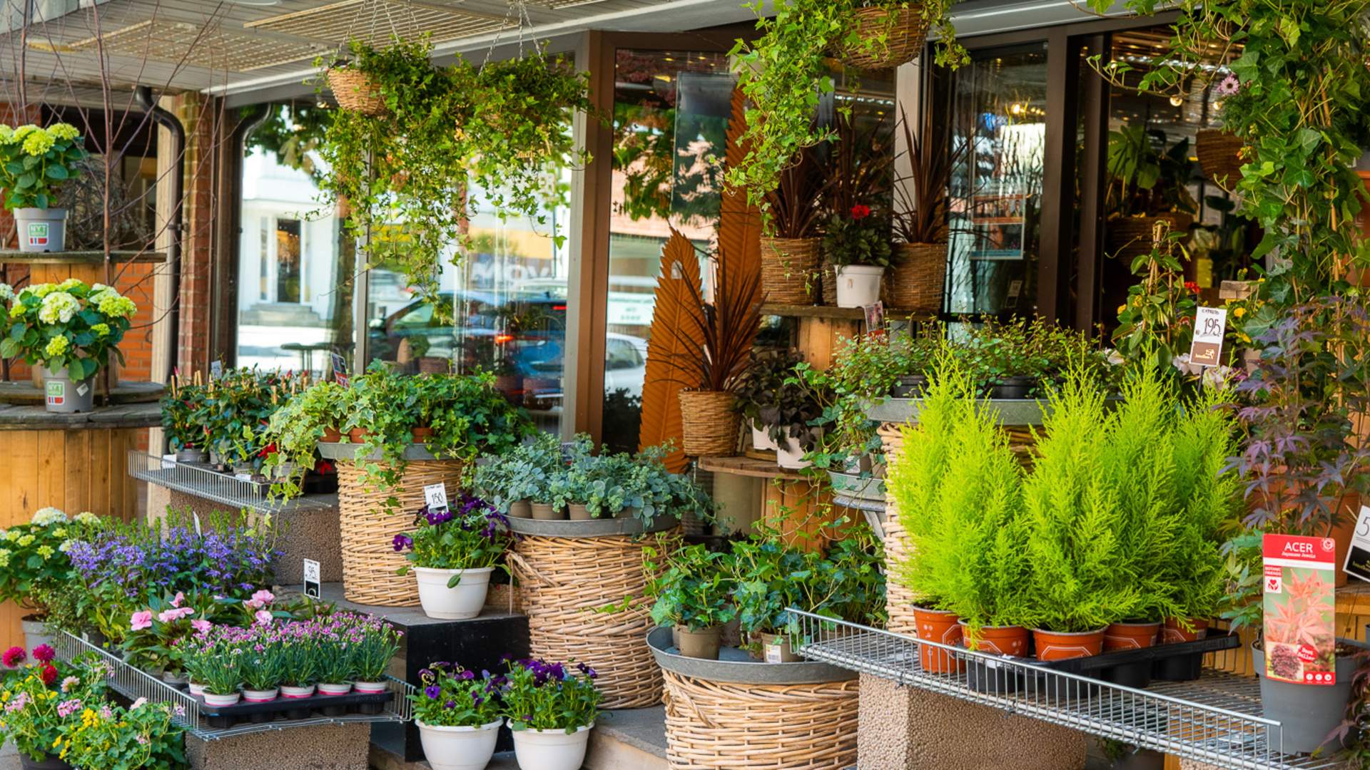 Sentrum blomster Mysen
