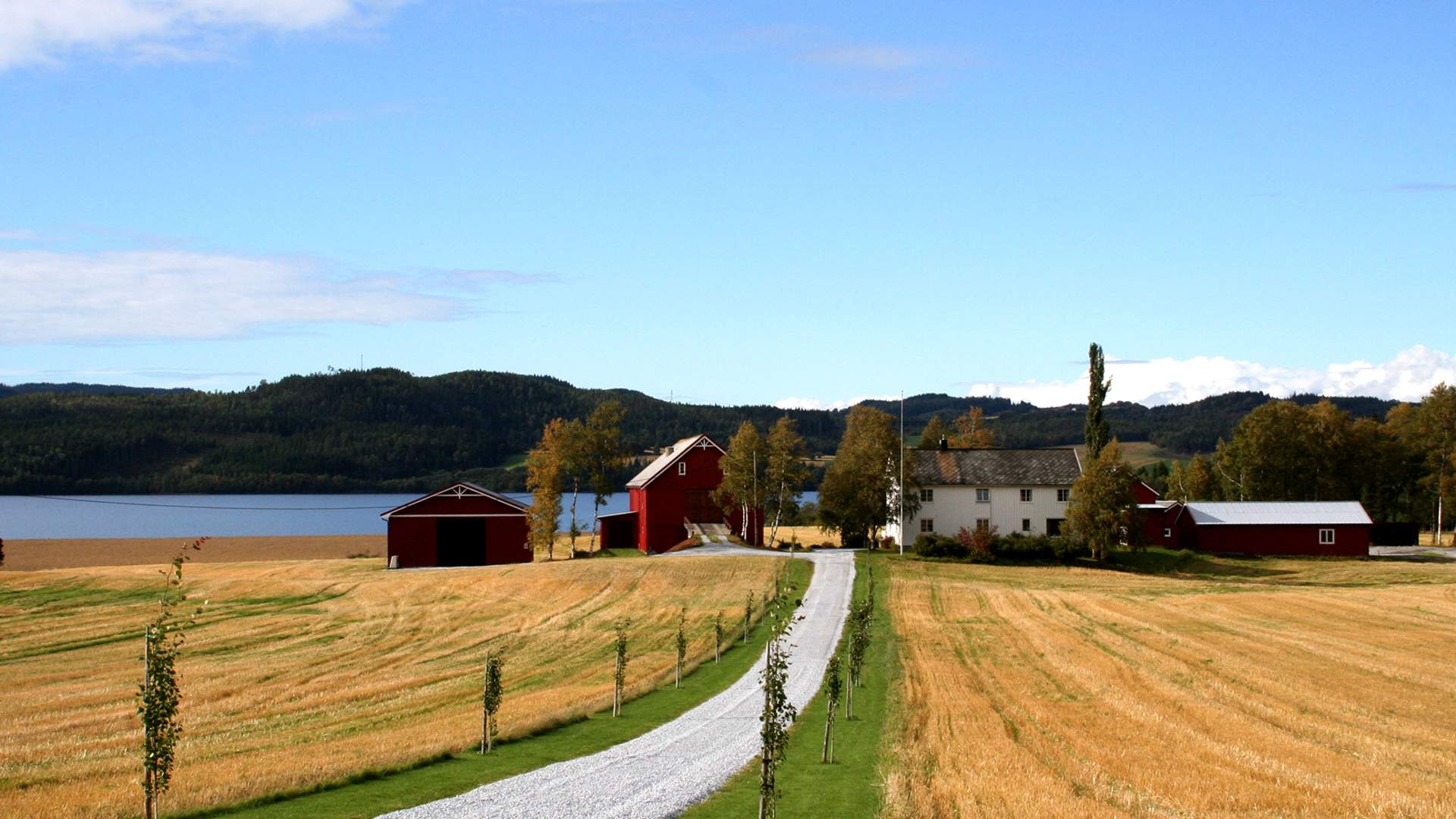 Sykkel Leksdalsvatnet