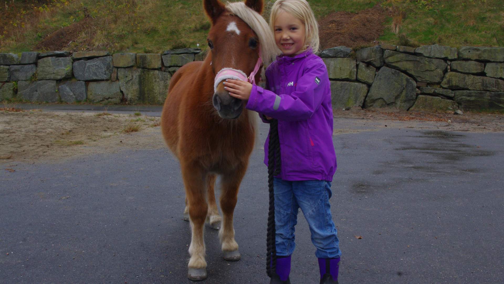 Travskolen Sørlandets Travpark