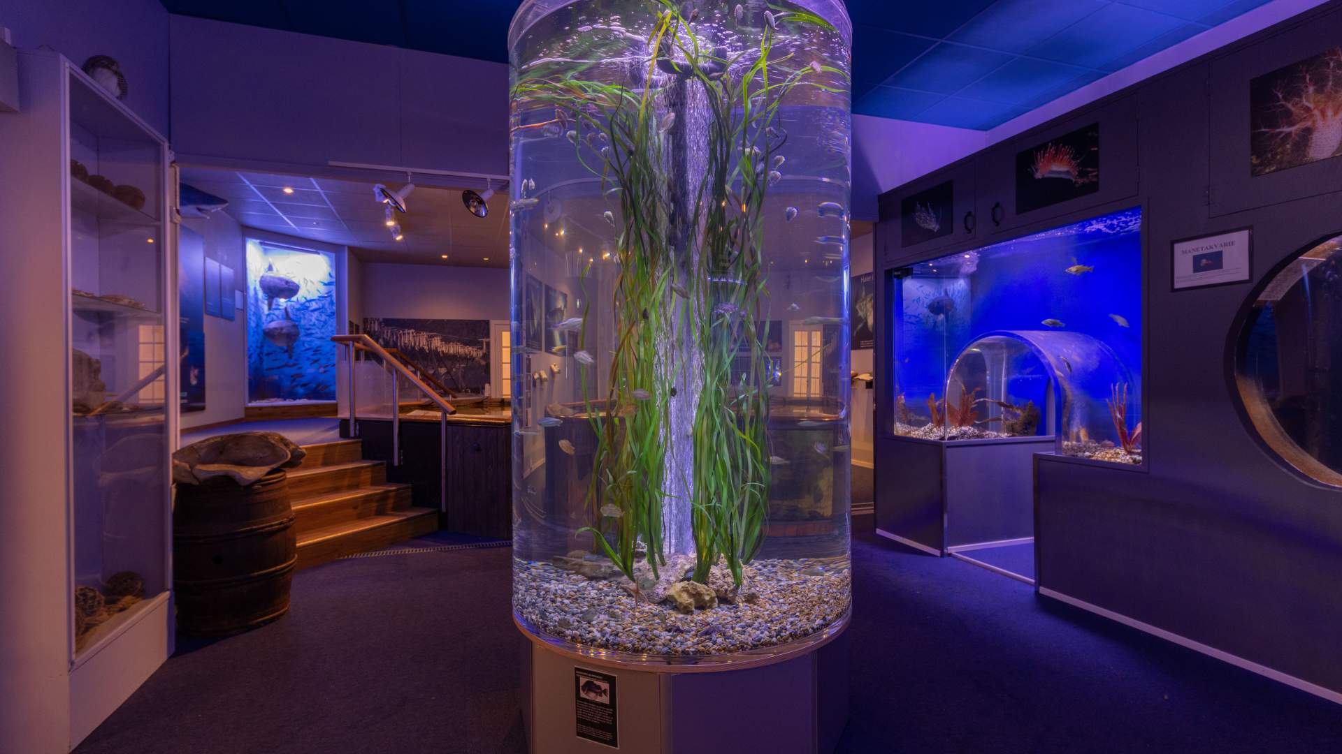 DRØBAK AKVARIUM foto visitdrobakoscarsborg.no1