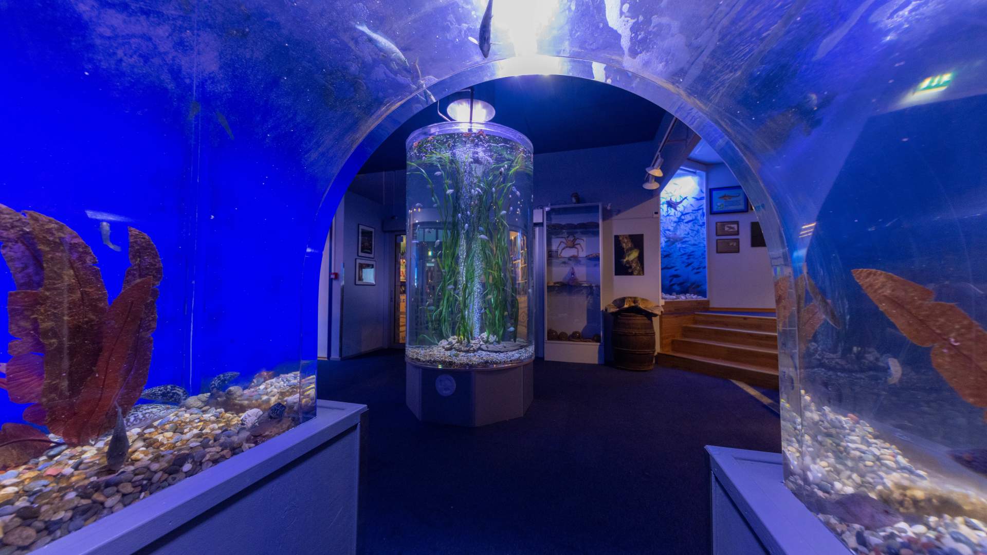 DRØBAK AKVARIUM foto visitdrobakoscarsborg.no4