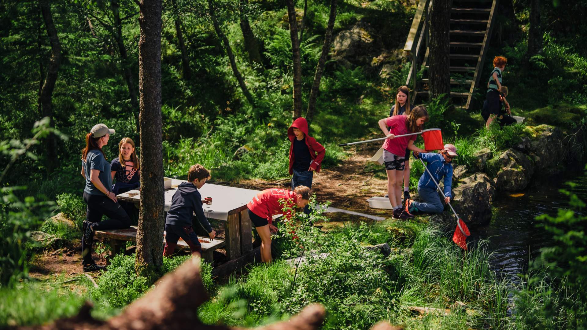 Naturskole sommercamp på Fløyen
