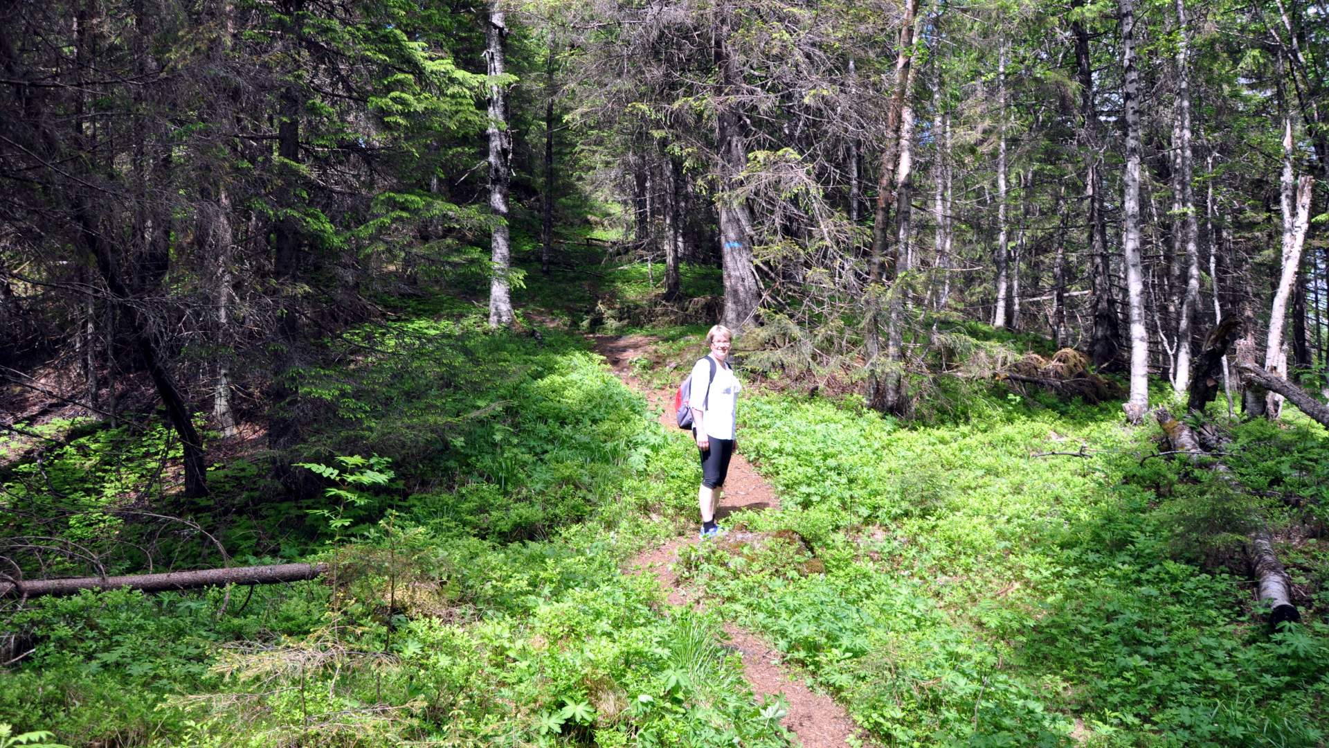 På vei til Flotsberget , Hans Olav Osbak