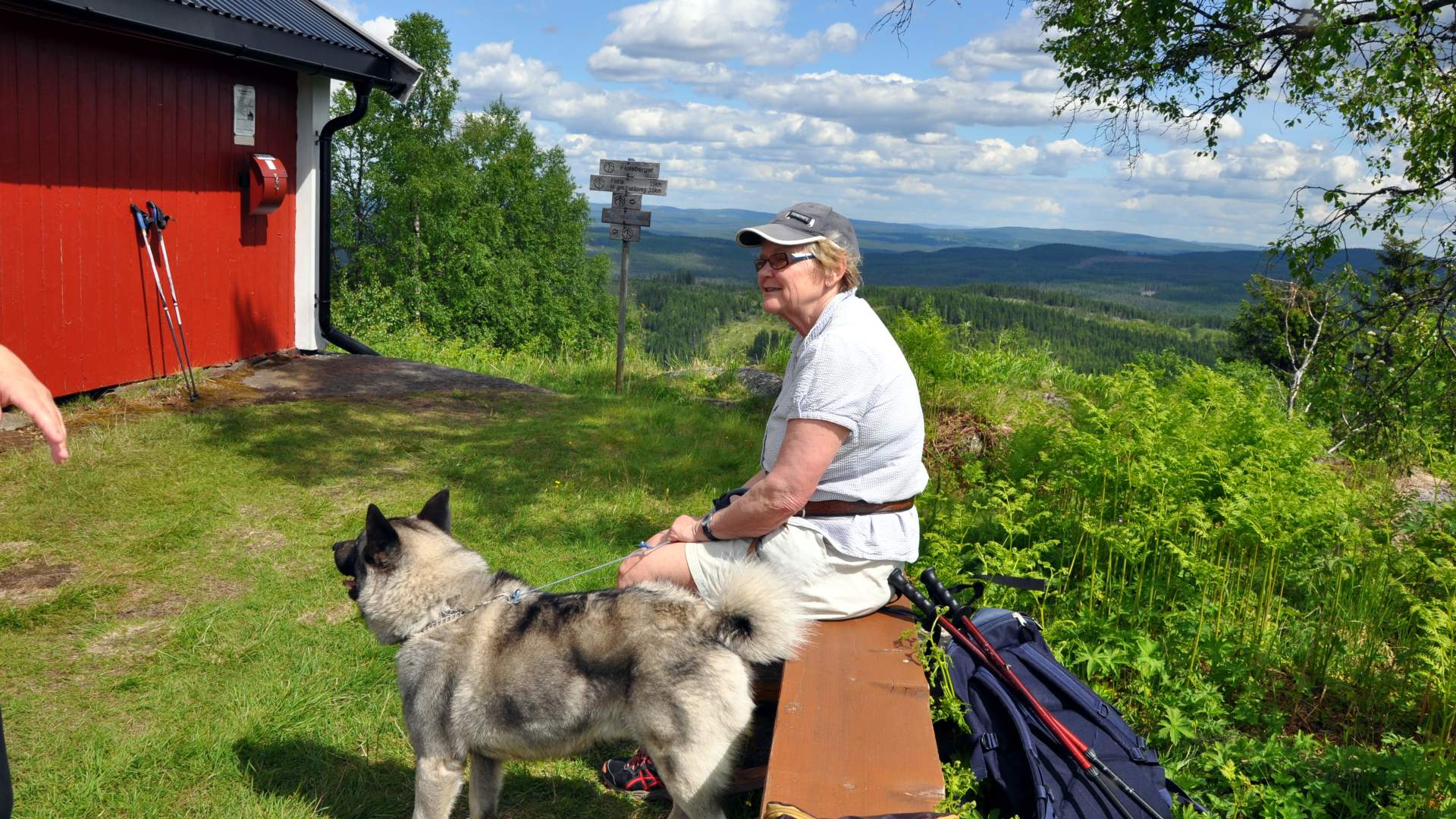 Rast ved Flotsberget, Hans Olav Osbak