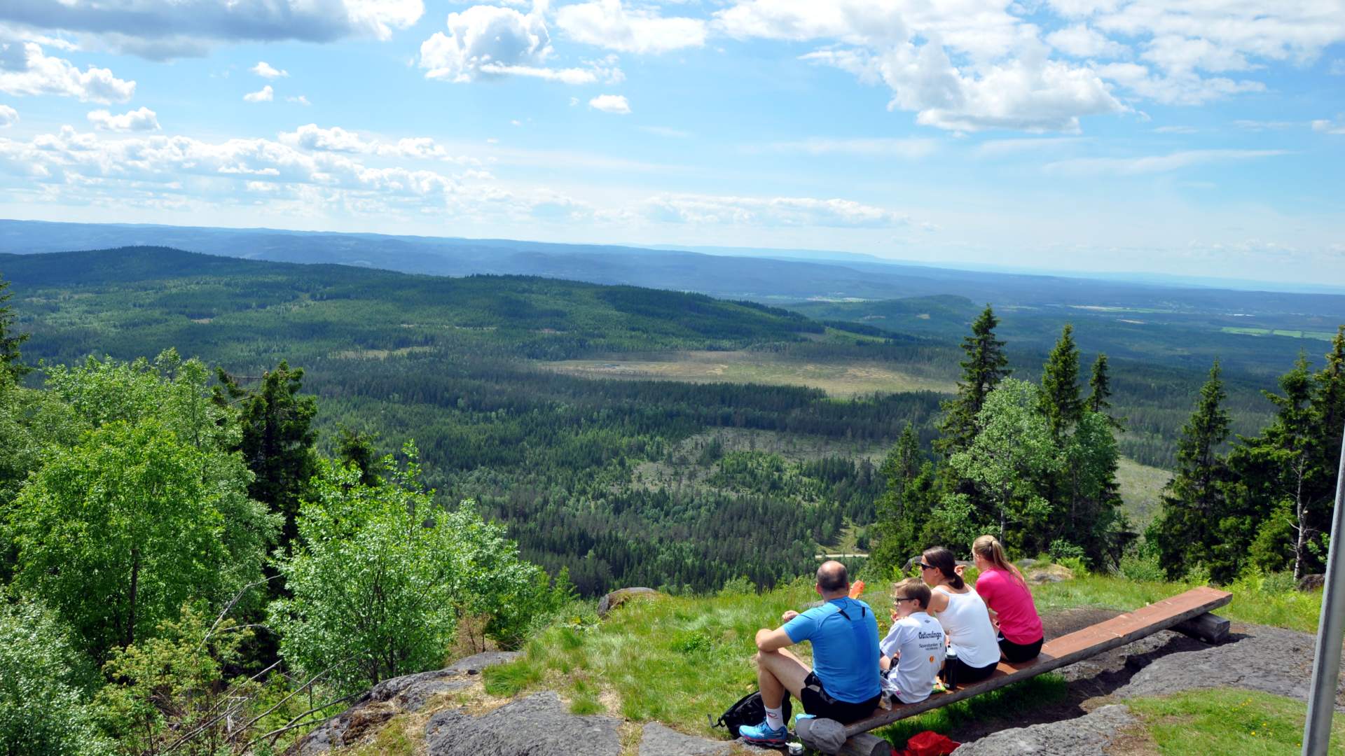Utsikt fra Flotsberget, Hans Olav Osbak