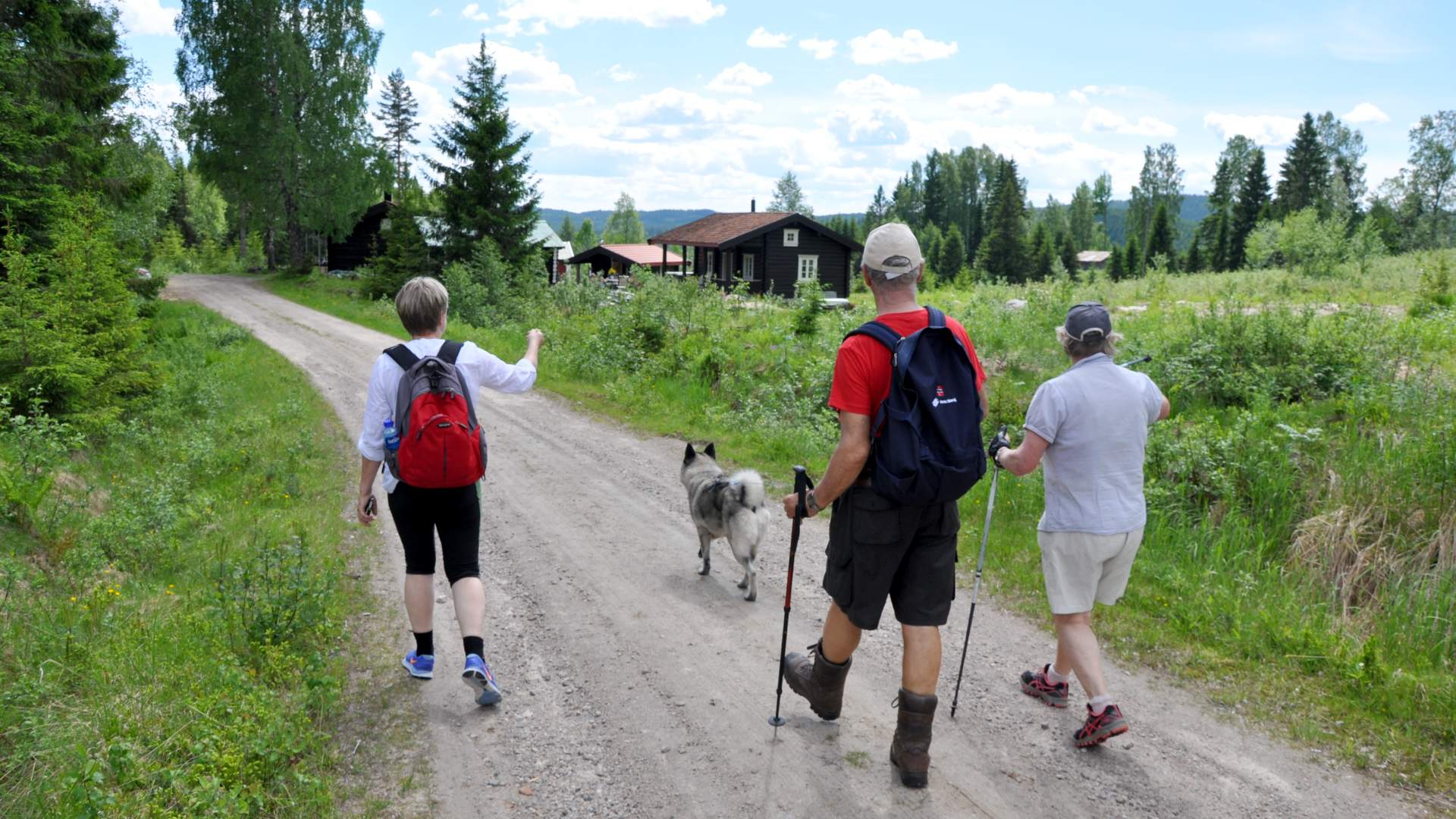 På vandring, Hans Olav Osbak