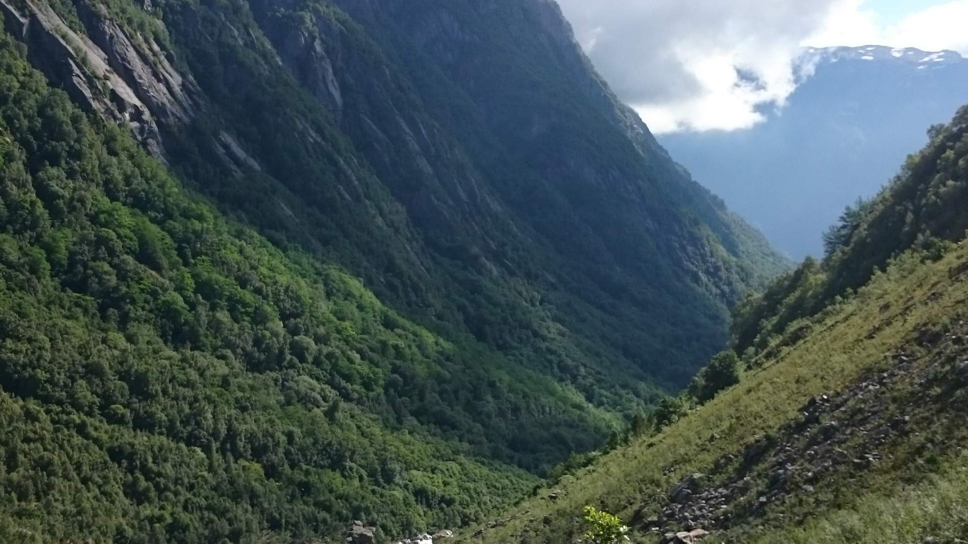buerdalen-a.henrickson