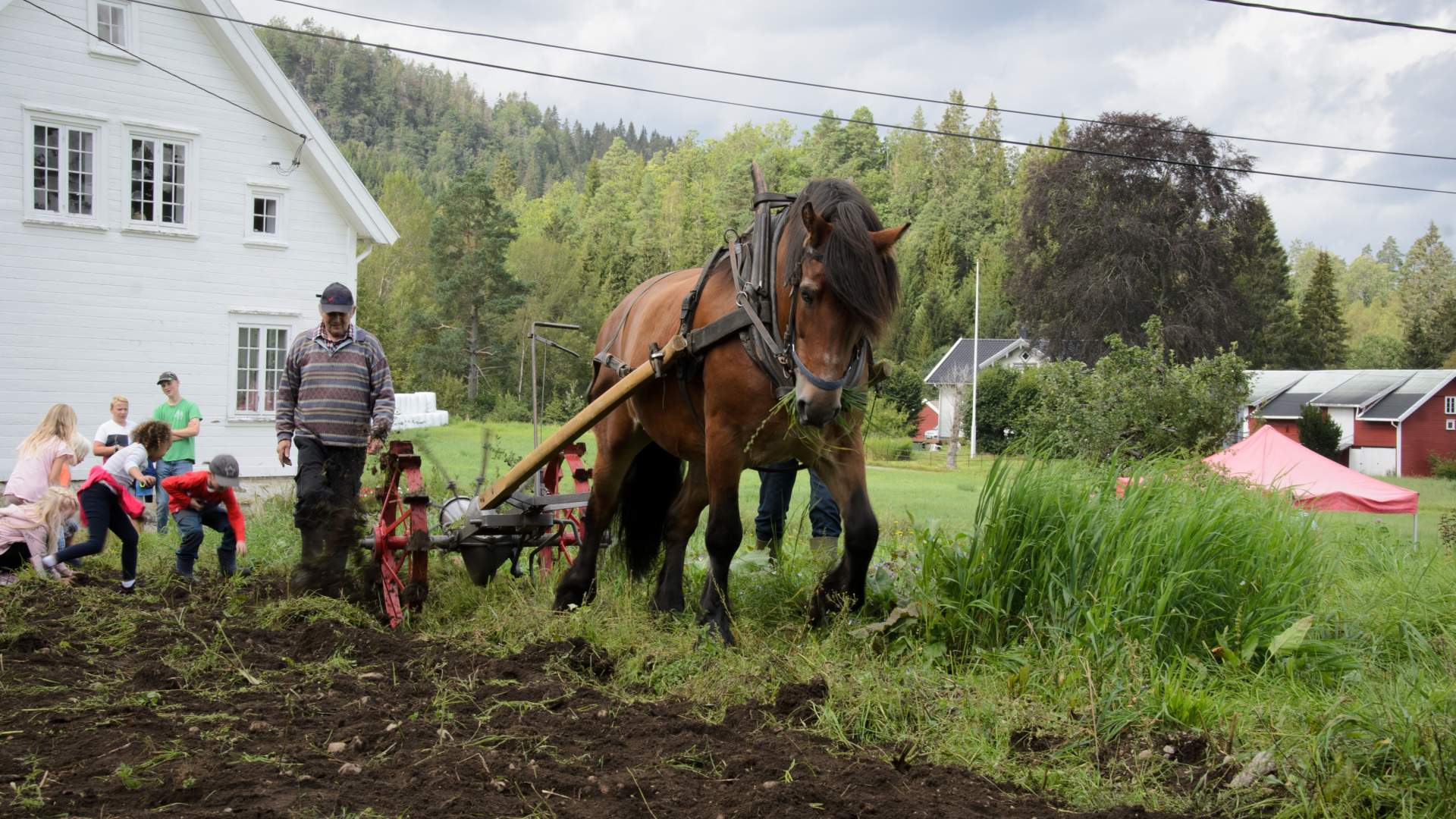 Birkenes Bygdemuseum