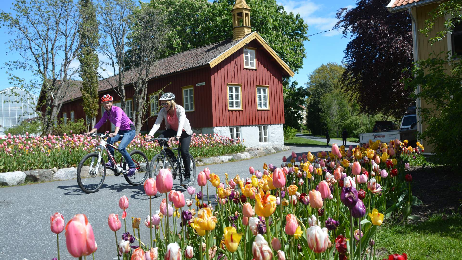 Dømmesmoen