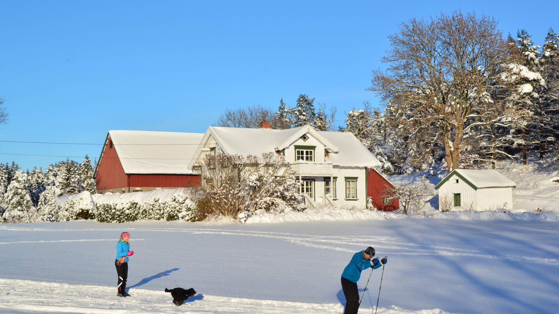 På ski på Dømmesmoen