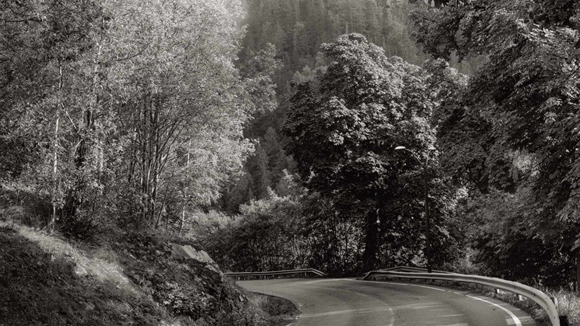 Utstillingen "Glem meg ei"