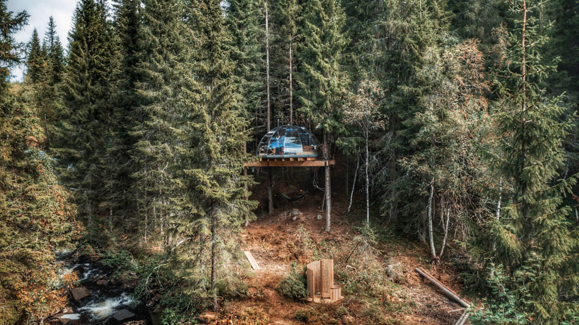 Dalen_tretoppiglo_Primærbilde