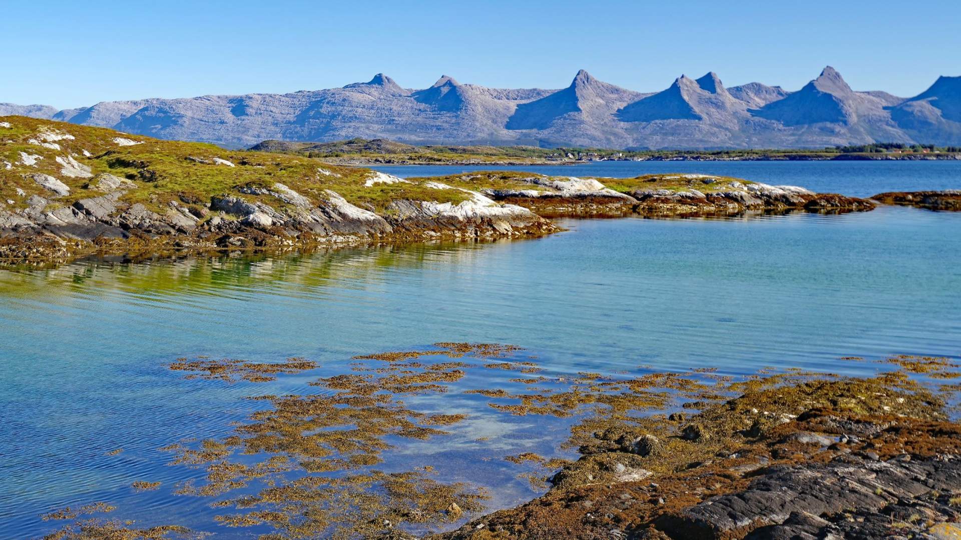 De Syv Søstre fra Herøy
