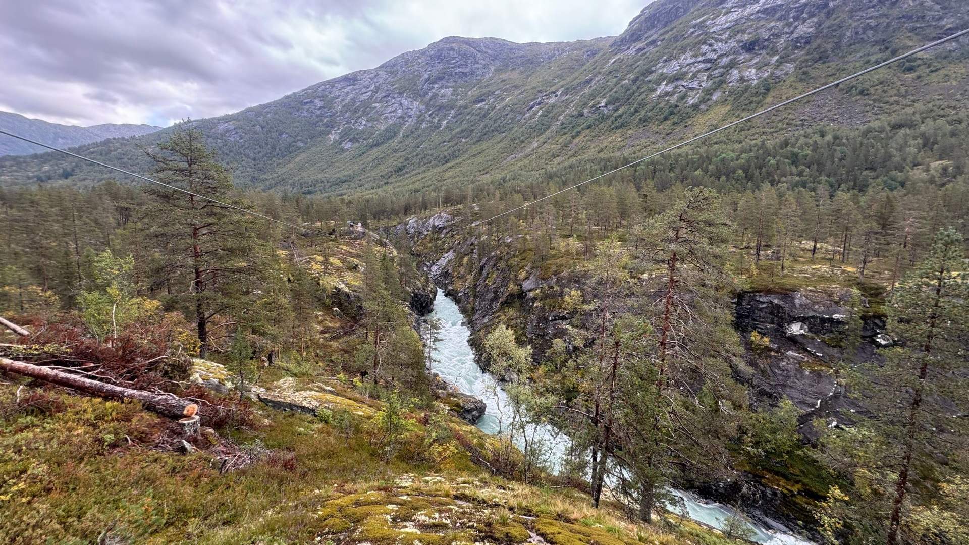 SkyRavn Zipline - IceTroll