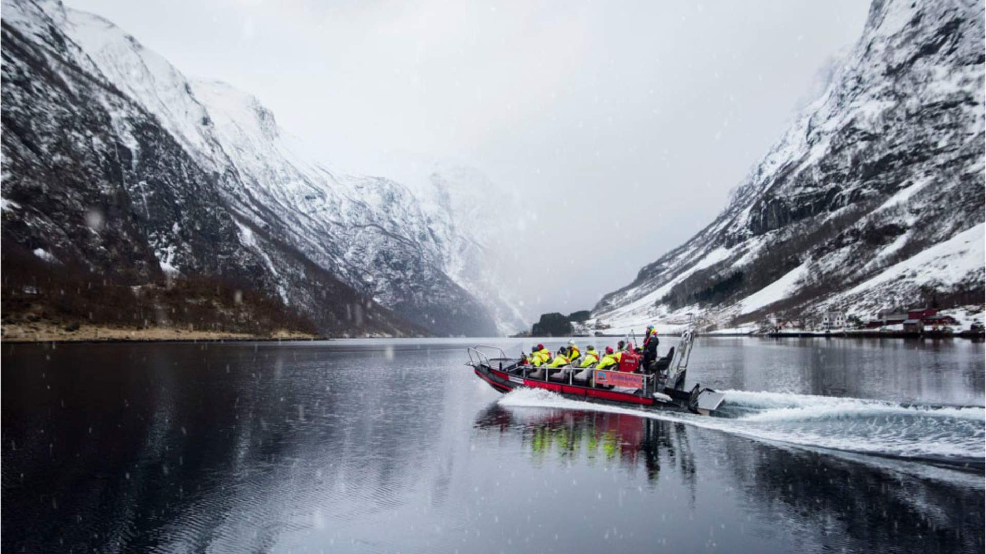 Vinter FjordSafari