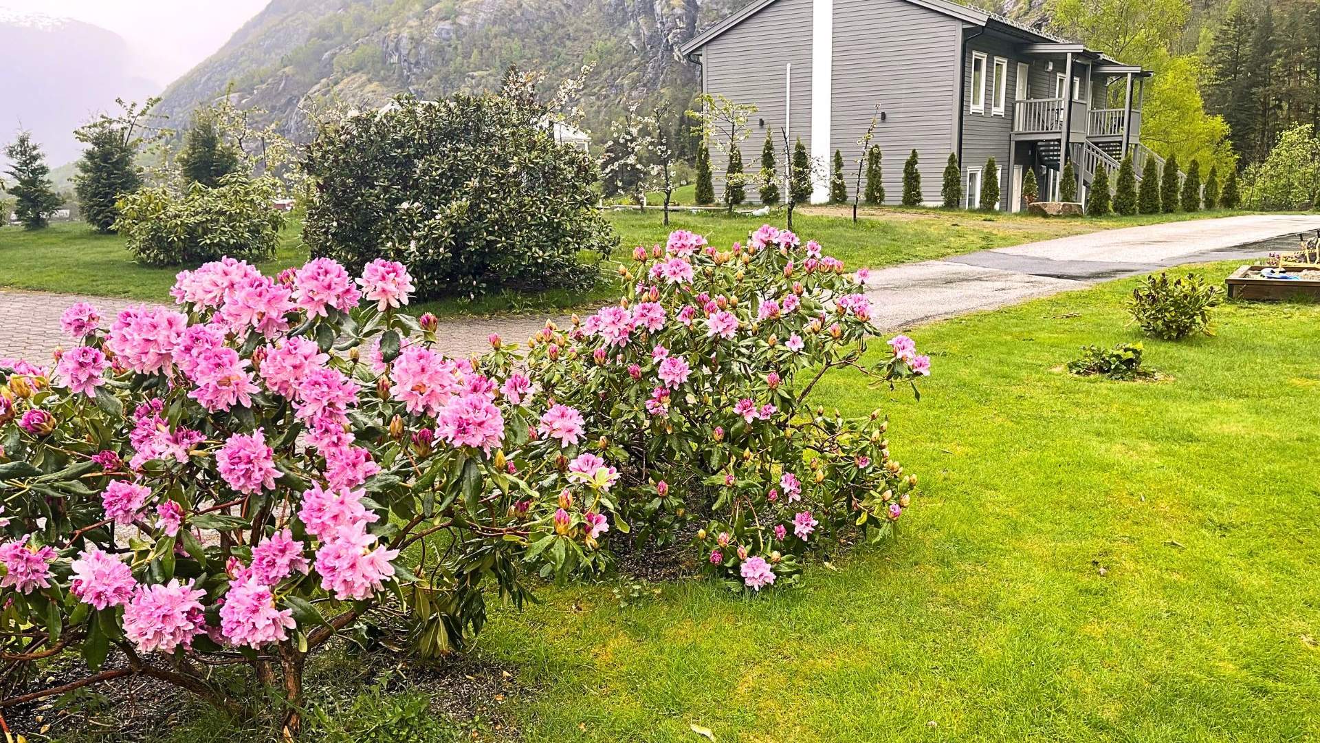Skaimsberg Apartments, Aurland
