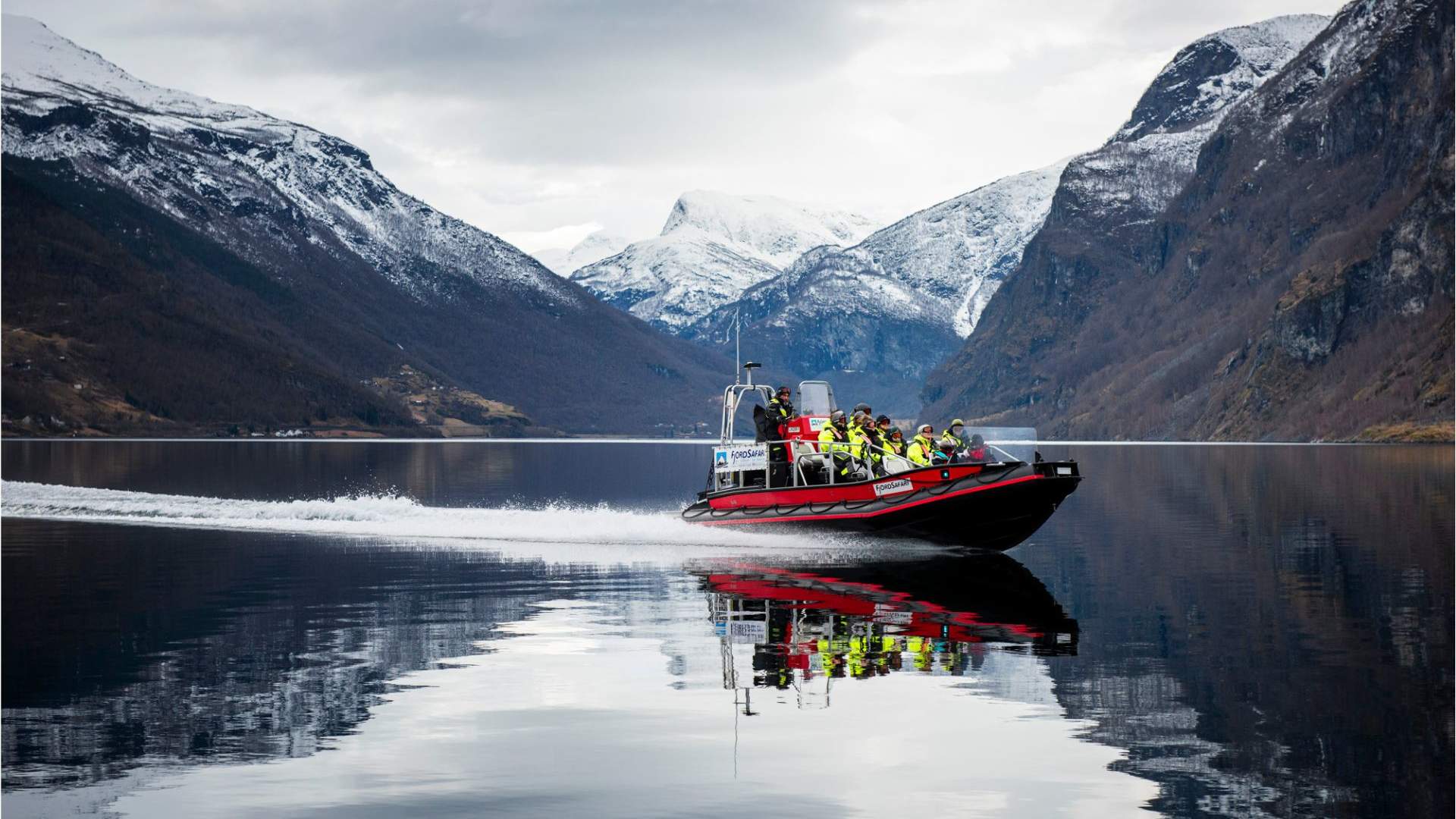 Vinter FjordSafari