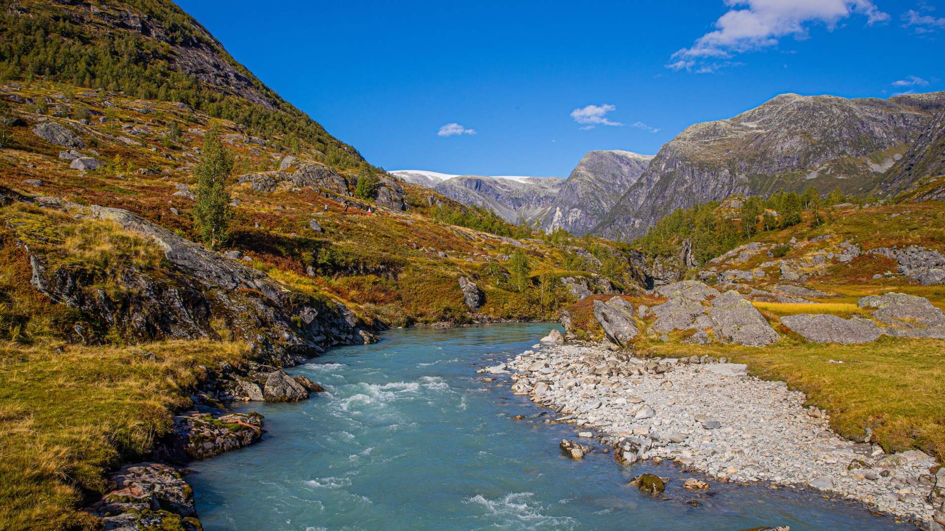 Tungestølen-Austerdalsbreen